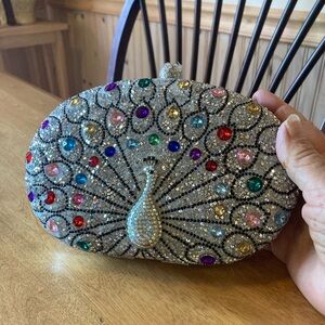 Source Unknown Multicolor Peacock Clutch